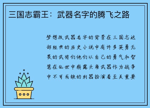 三国志霸王：武器名字的腾飞之路
